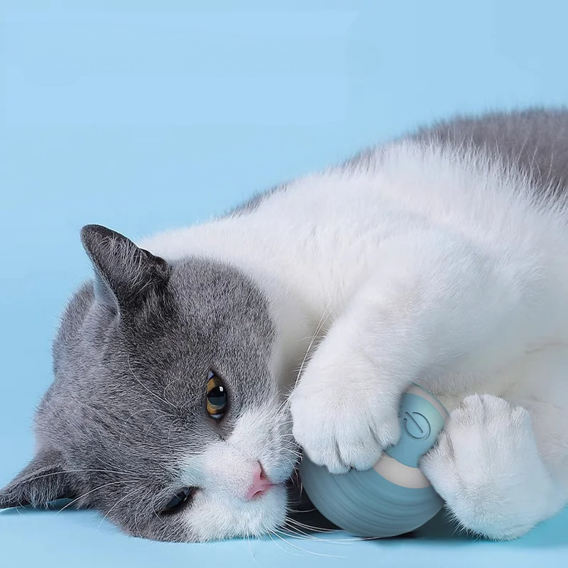 Cat Interactive Ball Smart Cat - Electronics Gadgets Wholesale 评论和价格